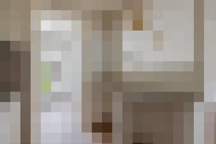 Sinte Lucijweg 24 Steensel thumbnail 18