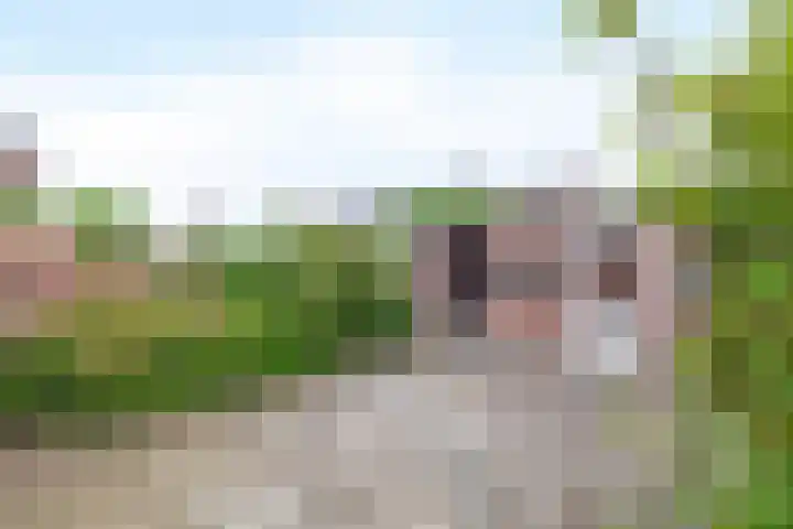 Sinte Lucijweg 24 Steensel thumbnail 23