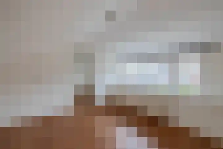 Sinte Lucijweg 24 Steensel thumbnail 40