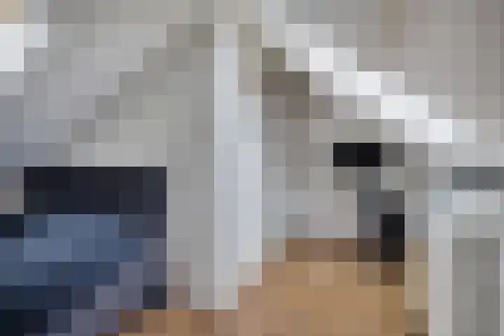 Sinteblom 4 Schiermonnikoog thumbnail 29