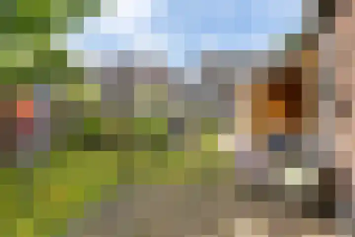 Sinteblom 4 Schiermonnikoog thumbnail 30