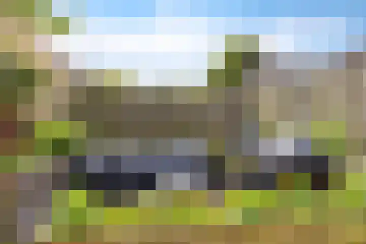 Sinteblom 4 Schiermonnikoog thumbnail 31