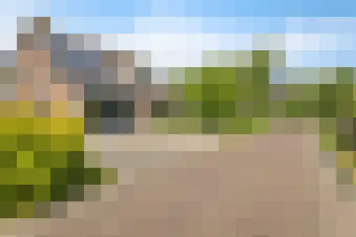 Sinteblom 4 Schiermonnikoog thumbnail 6