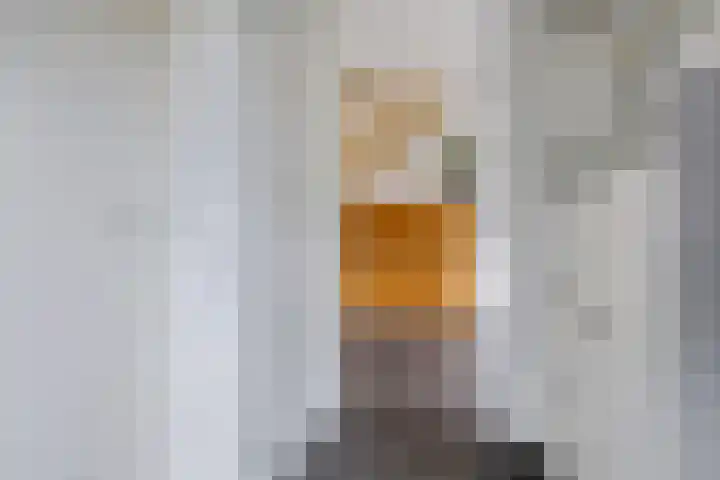 Sinteblom 4 Schiermonnikoog thumbnail 9