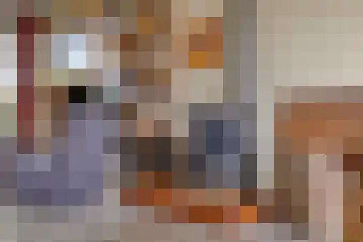 Sintekrijnsputje 14 Halsteren thumbnail 11