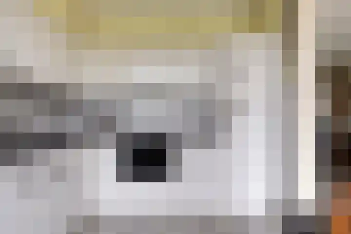 Sintekrijnsputje 14 Halsteren thumbnail 16