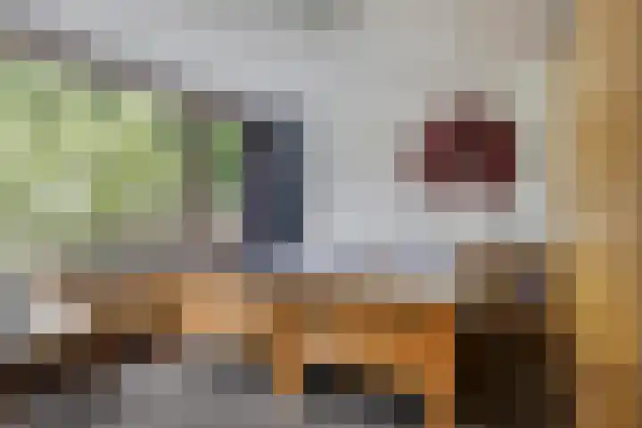 Sintekrijnsputje 14 Halsteren thumbnail 19