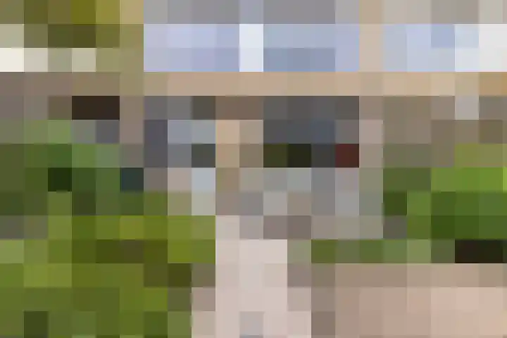 Sintekrijnsputje 14 Halsteren foto 2