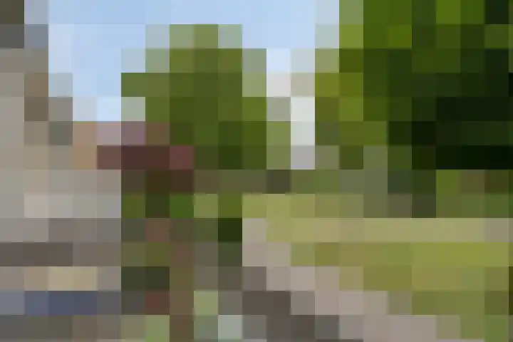 Sintekrijnsputje 14 Halsteren thumbnail 20