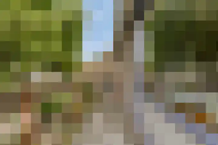 Sintekrijnsputje 14 Halsteren thumbnail 21