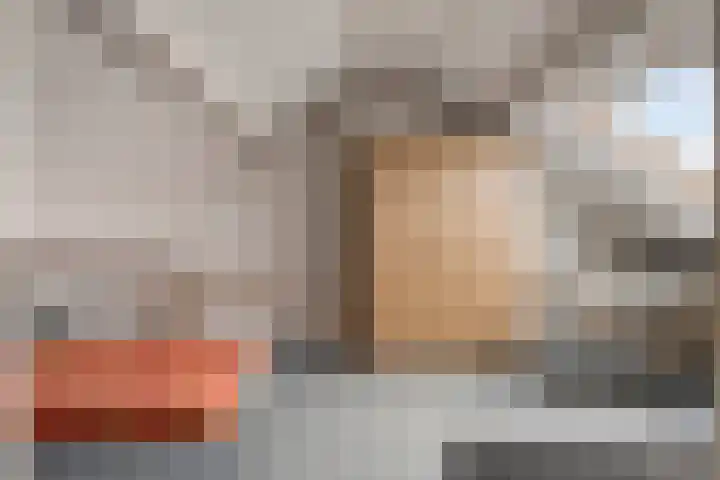 Sintekrijnsputje 14 Halsteren thumbnail 30