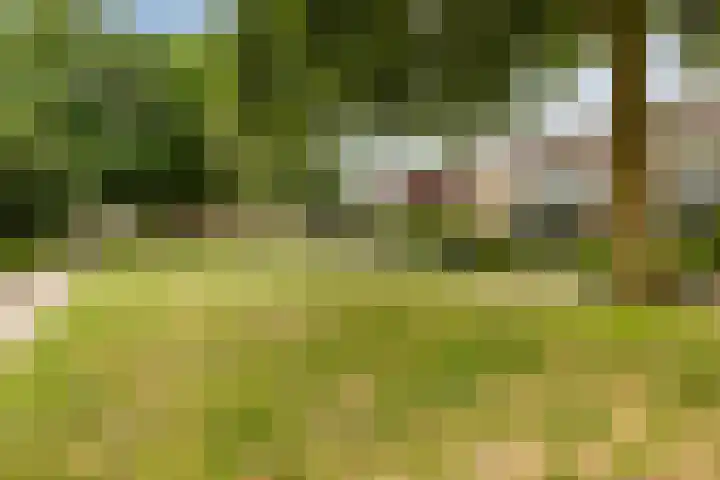 Sintekrijnsputje 14 Halsteren thumbnail 37