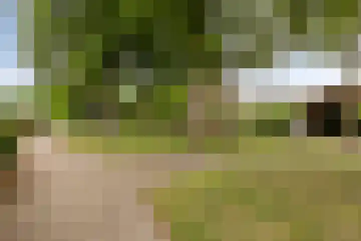 Sintekrijnsputje 14 Halsteren thumbnail 38
