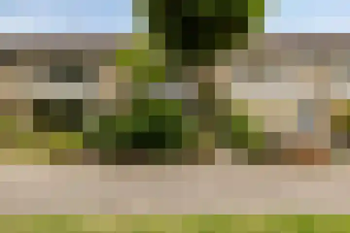 Sintekrijnsputje 14 Halsteren thumbnail 39