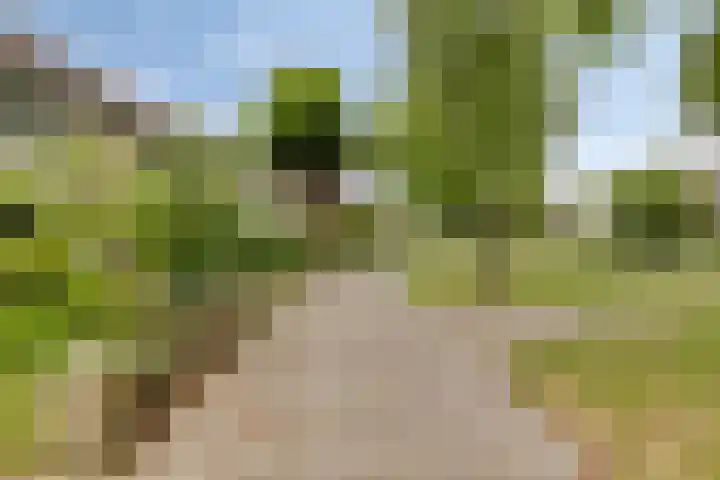 Sintekrijnsputje 14 Halsteren thumbnail 40