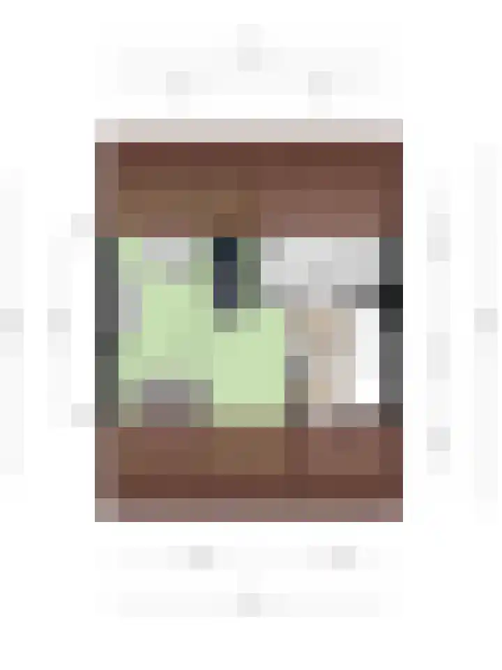 Sintekrijnsputje 14 Halsteren thumbnail 43