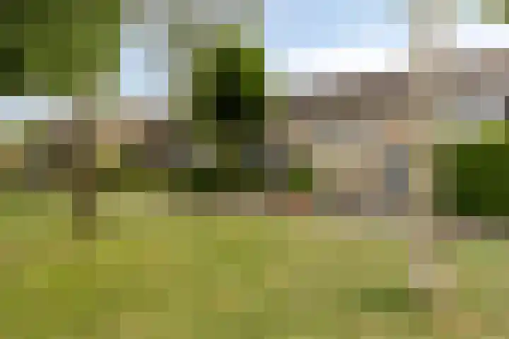 Sintekrijnsputje 14 Halsteren thumbnail 46