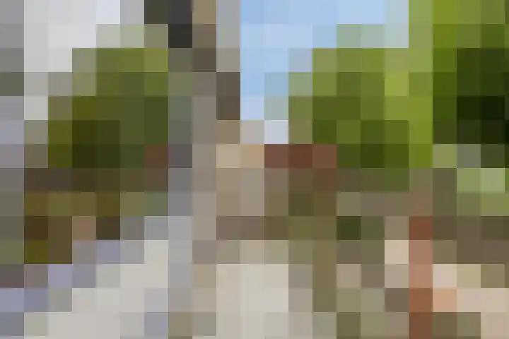 Sintekrijnsputje 14 Halsteren thumbnail 5