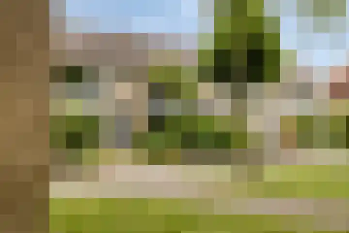 Sintekrijnsputje 14 Halsteren thumbnail 6