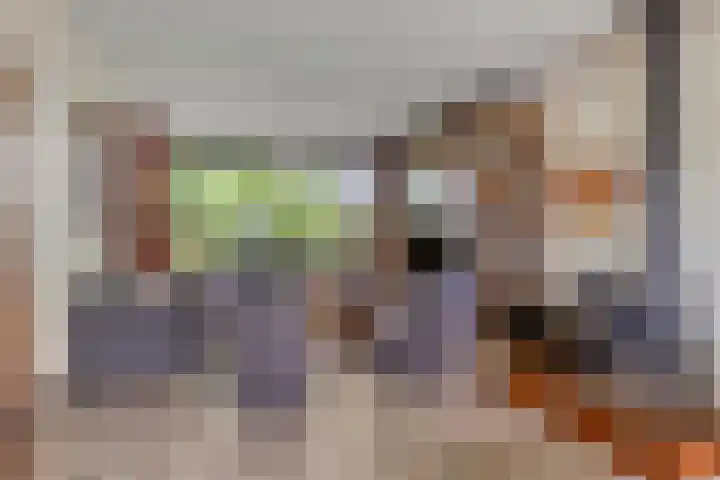 Sintekrijnsputje 14 Halsteren thumbnail 9