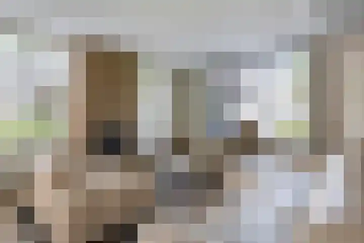 Sintelbaan 14 Krimpen aan den IJssel thumbnail 13