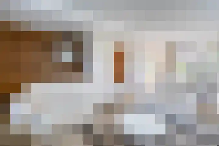 Sintelbaan 14 Krimpen aan den IJssel thumbnail 15