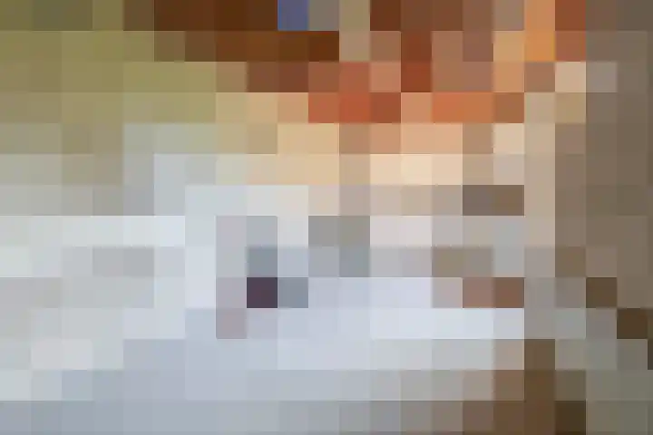 Sintelbaan 14 Krimpen aan den IJssel thumbnail 27