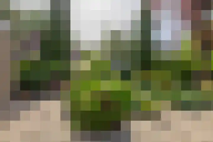 Sintelbaan 14 Krimpen aan den IJssel thumbnail 43