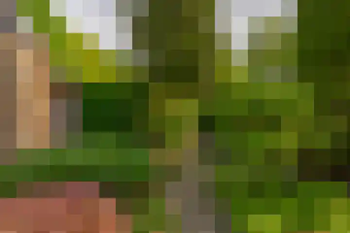 Sintelbaan 14 Krimpen aan den IJssel thumbnail 44
