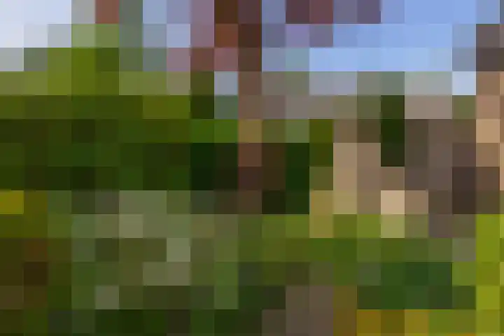 Sintelbaan 14 Krimpen aan den IJssel thumbnail 45