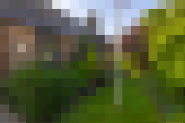 Sintelbaan 14 Krimpen aan den IJssel thumbnail 46