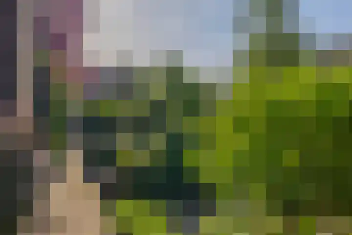 Sintelbaan 14 Krimpen aan den IJssel thumbnail 47