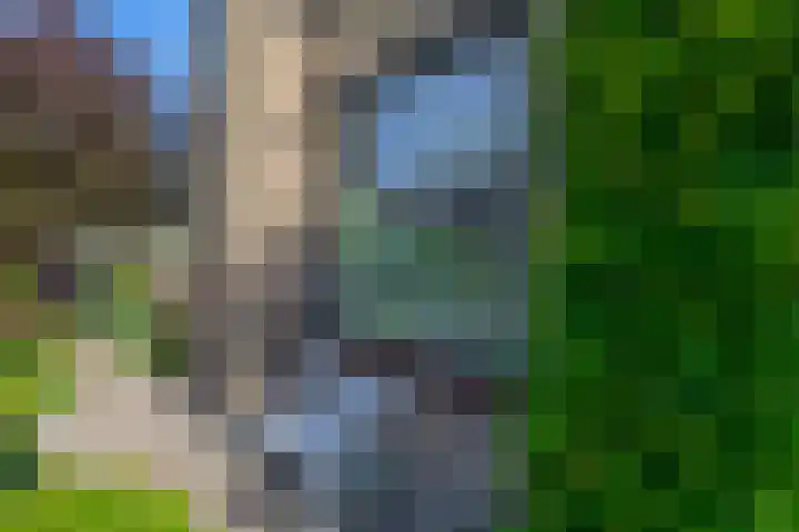 Sintelbaan 14 Krimpen aan den IJssel thumbnail 49
