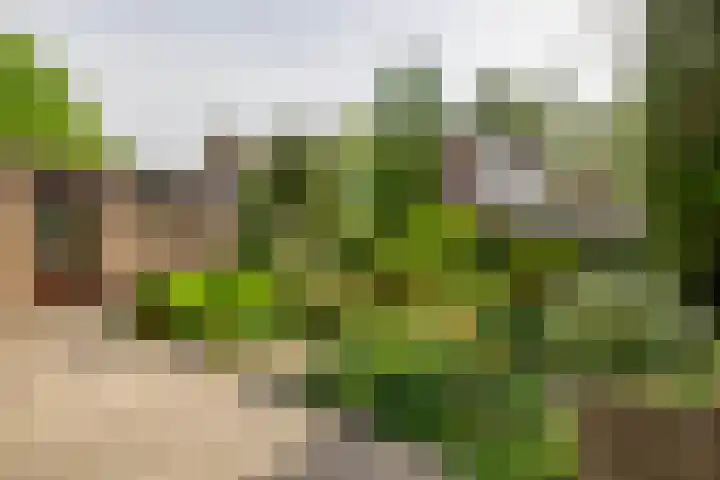 Sintelbaan 14 Krimpen aan den IJssel thumbnail 5
