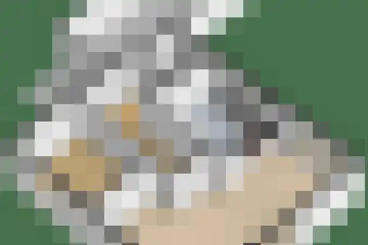 Sintelbaan 14 Krimpen aan den IJssel thumbnail 53
