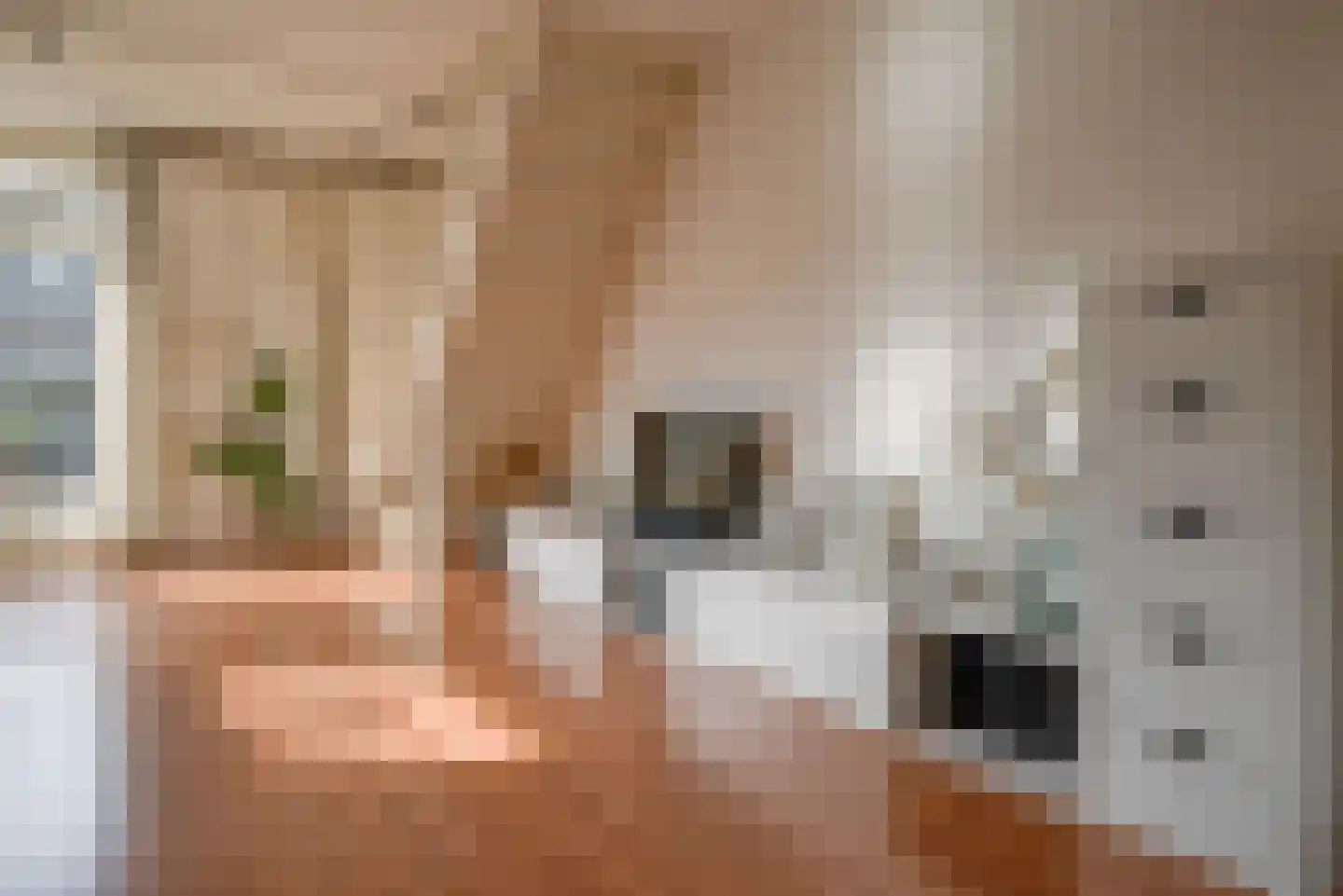 Sion 1 Pijnacker thumbnail 15