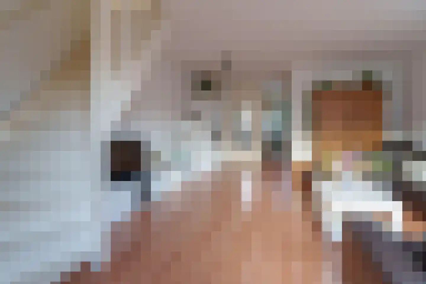 Sion 1 Pijnacker thumbnail 16