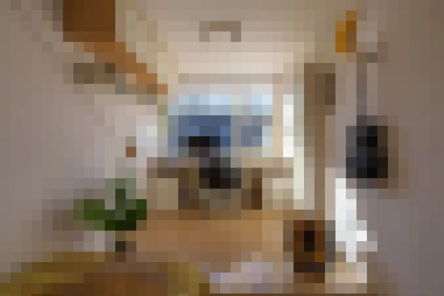 Sion 1 Pijnacker thumbnail 29