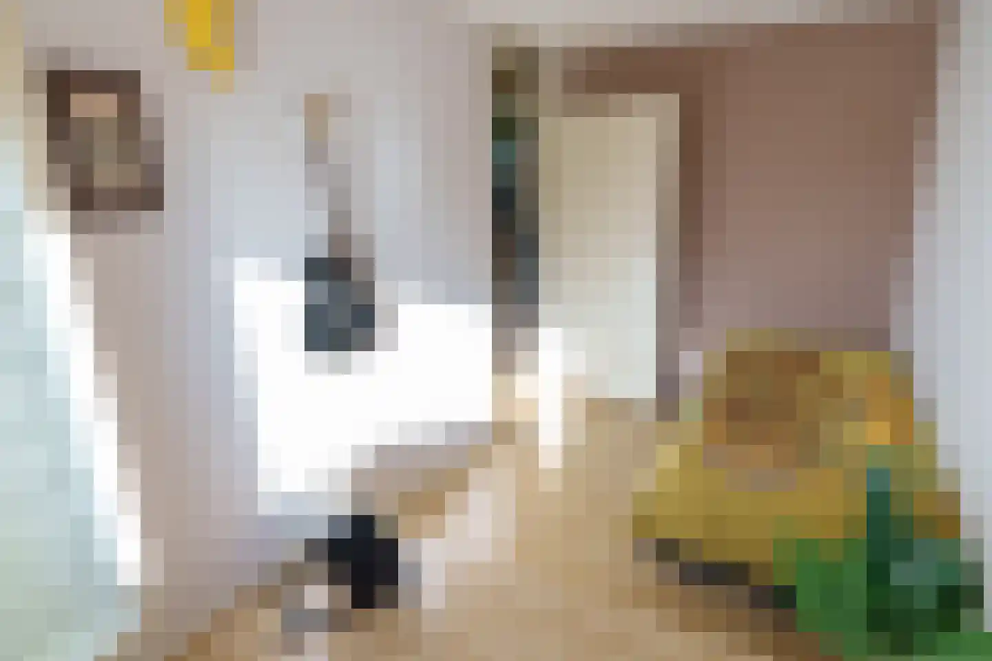 Sion 1 Pijnacker thumbnail 30