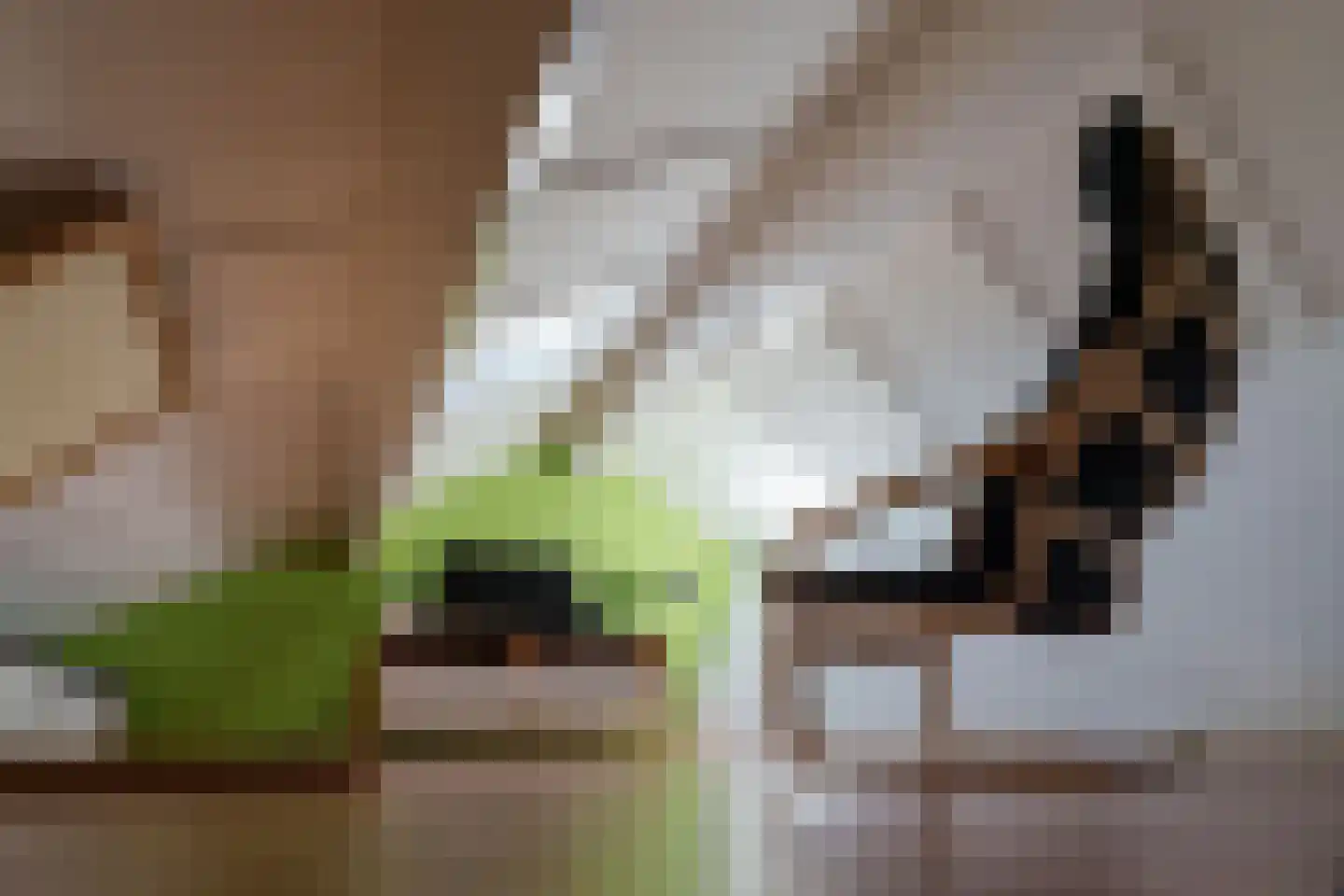 Sion 1 Pijnacker thumbnail 36