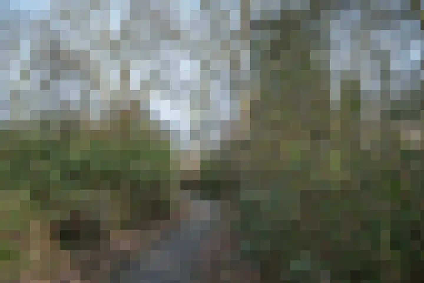 Sion 1 Pijnacker thumbnail 42