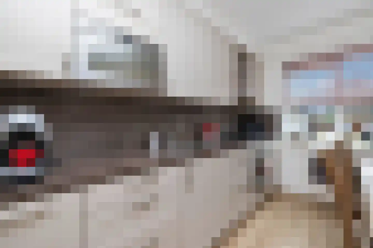Sion 4 Pijnacker thumbnail 16