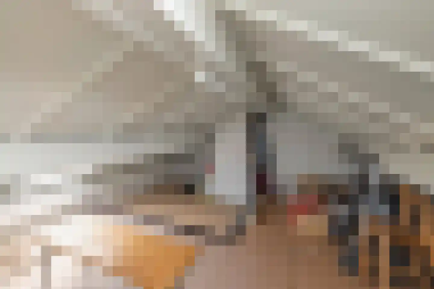 Sion 4 Pijnacker thumbnail 31