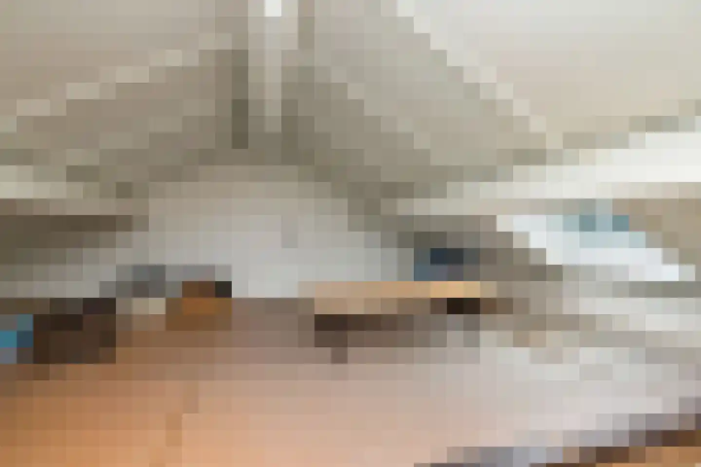 Sion 4 Pijnacker thumbnail 32
