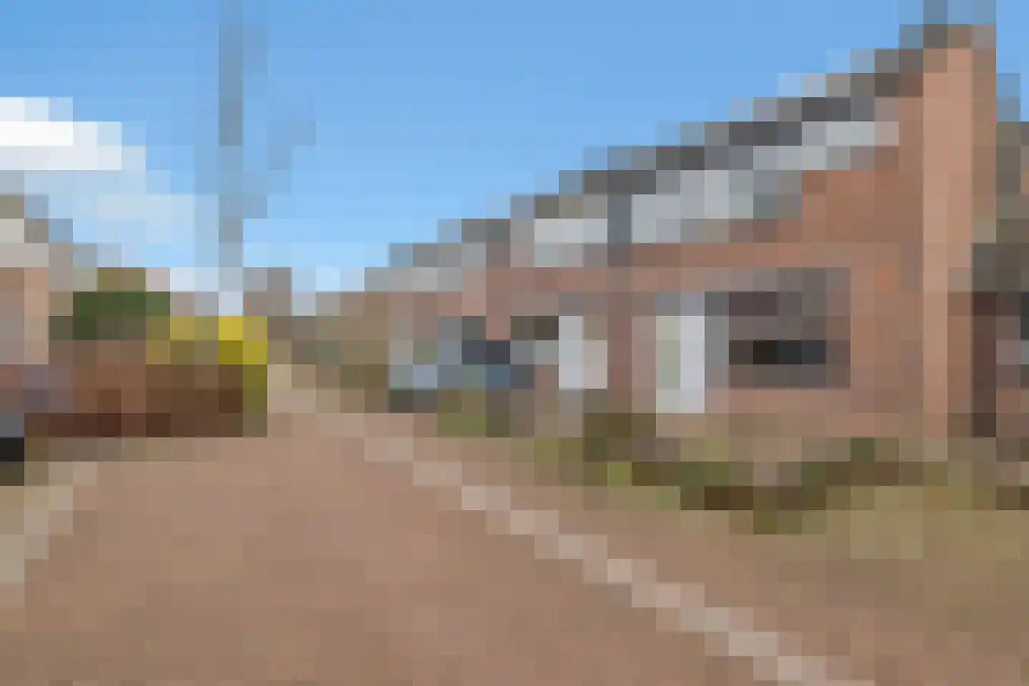 Sion 4 Pijnacker thumbnail 6