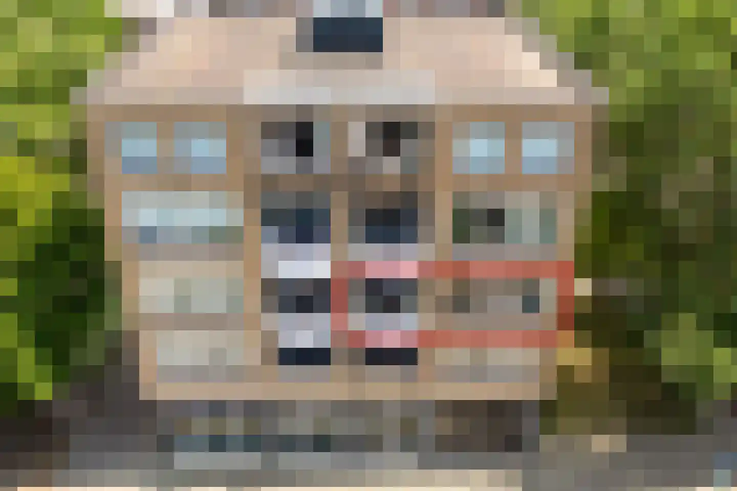 Siondwarsstraat 64 Rotterdam thumbnail 4