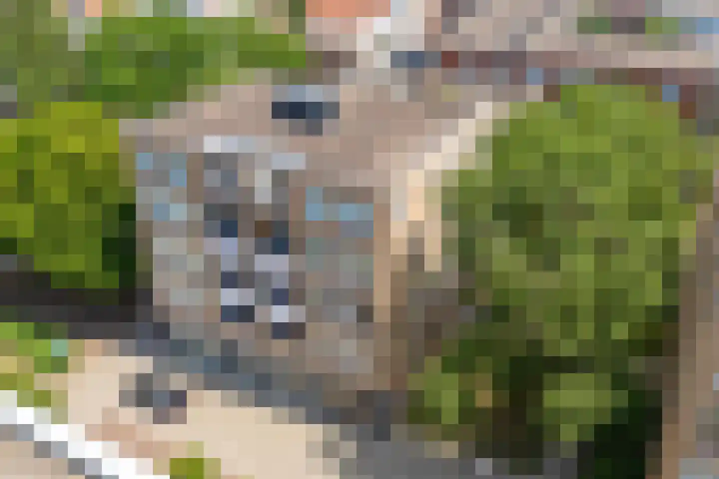 Siondwarsstraat 64 Rotterdam thumbnail 6