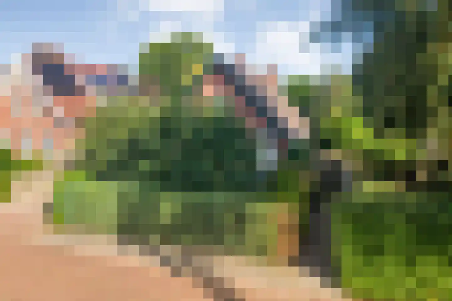 Sionserf 12 in Nijverdal