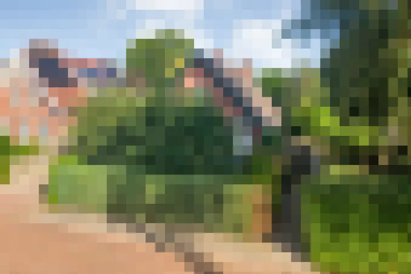 Sionserf 12 in Nijverdal