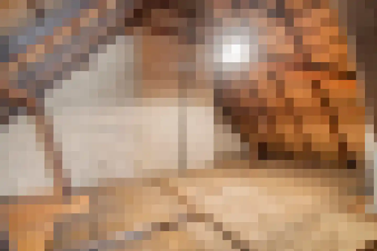 Sionserf 12 Nijverdal thumbnail 23
